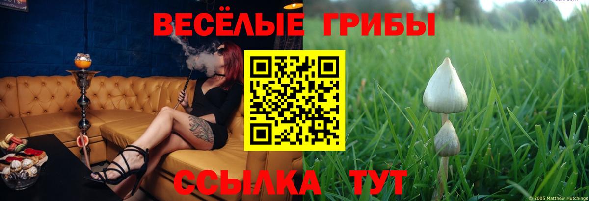 Галлюциногенные грибы мухоморы  Вход с VPN  Псилоцибиновые грибы мухоморы  Волгоград 