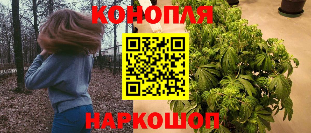 Каннабис тримм Волгоград